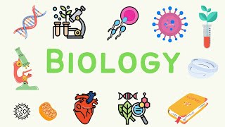 1 A Level Biology  Biological Molecules [upl. by Stokes197]