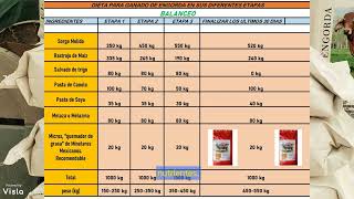 Dieta o formula de Engorda de Ganado en Tres etapas [upl. by Matheson]