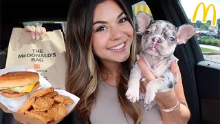 McDonalds Mukbang with my new PUPPY QampA [upl. by Novah15]