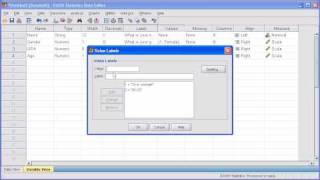 13b Define Variable PASW SPSS Statistics v17 video [upl. by Goody]