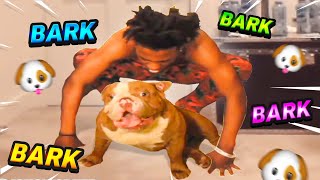 iShowSpeed Gets a New Dog And BARKS At Him 😂 [upl. by Edris]