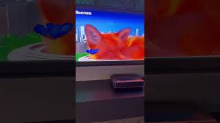 Hisense IFA 2024  PX3Pro 8K Laser TV und Mini Laser TV  Highlights [upl. by Norvil]