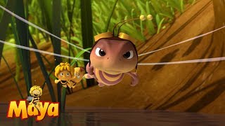 🐝💨🌻 The dragonfly RACE  Maya the bee 🐝💨🌻 [upl. by Lemak]