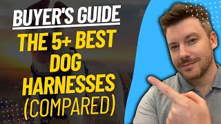 TOP 5 BEST DOG HARNESSES  Best Dog Harness Review 2023 [upl. by Gabriella]