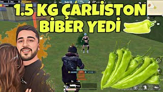 BİBERCİ GEBLO 15 KİLO DEV GİBİ ÇARLİSTON BİBER YEDİRDİ PUBG MOBİLE [upl. by Olaznog912]