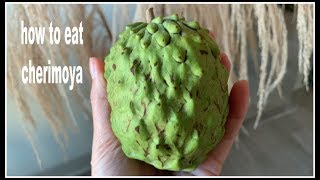 How to eat CHERIMOYA  House of X Tia [upl. by Bassett991]