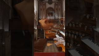 This Cathedral Organ has a 32‘ Contra Bombarde ❤️ music organ church [upl. by Melantha673]