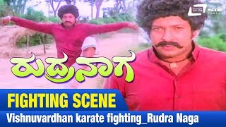 Karate Fighting  Rudra Naga  Vishnuvardhan  Fighting Scene [upl. by Ailecra]