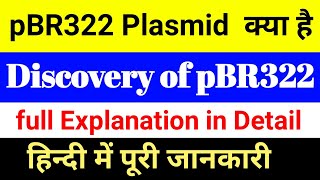 What are pBR322 Plasmid  pBR322 Plasmid Vector Discovery  What contain full explain in Hindi [upl. by Yeslaehc65]