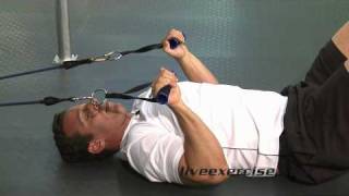 Triceps Extension Exercise Using Resistance Bands [upl. by Remliw]