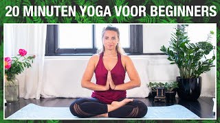 20 min Yoga voor Beginners  YOGA MET MILOU [upl. by Llerrot]