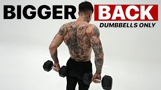 10 Min Complete Back Workout Dumbbells ONLY Follow Along [upl. by Zavras]