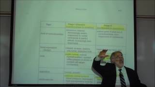 The Use of Nitrous Oxide in Conscious Sedation by Professor Fink [upl. by Assyn428]