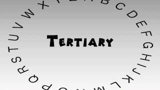 How to Say or Pronounce Tertiary [upl. by Emyaj]