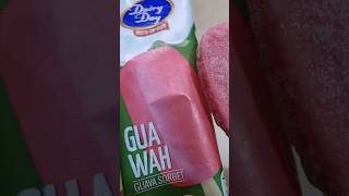 Dairy Day Guava Sorbet Ice Candy  Dairy Classic Ice Creams Pvt Ltd  Dairy Day Guava Flavour🍦 [upl. by Stonwin380]