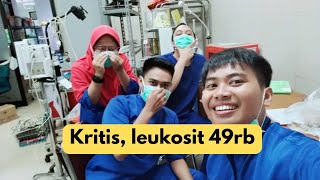 LEUKOSIT TINGGI KRITIS [upl. by Resa767]