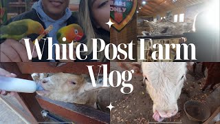 White Post Farm Vlog [upl. by Libb]