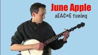 Clawhammer Banjo quotJune Applequot plus lesson and tab [upl. by Ynottirb]