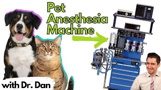 Pet Anesthesia Machine Explained by Dr Dan [upl. by Jarnagin]