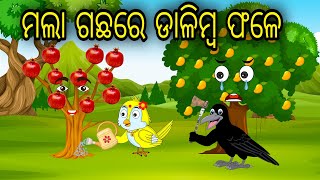 Mala Gachare Dalimba Fale  Odia Cartoon Odia Bird Stories Odia Chadhei Gapa Odia Moral Story [upl. by Millda]