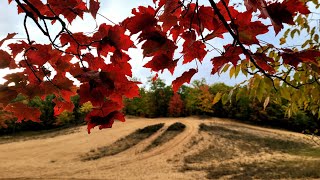 A Journey To The Sandbox A Rockhounding Adventure [upl. by Nilya]