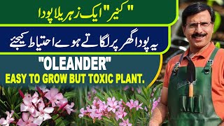 quotOleanderquot Easy to grow but Toxic plant  Kanair  Gardening With Javed Iqbal [upl. by Philender]