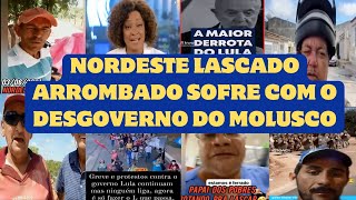 NORDESTE LASCADO ARROMBADO SOFRE COM O DESGOVERNO DO MOLUSCO [upl. by Imoyn]