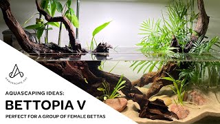 Aquascape Ideas Shallow tropical pondstyle riparium bettafish tank Bettopia V [upl. by Nosyaj390]