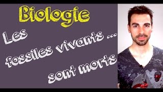 COURS DE BIOLOGIE Les fossiles vivants sont morts [upl. by Jesus]