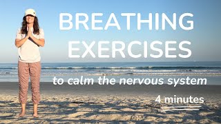 3 Breathing Exercises to Calm the Nervous System  Kids Yoga Video [upl. by Sobmalarah523]