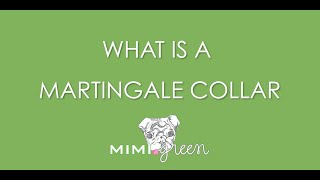 What Is A Martingale Collar  The What Why and How [upl. by Metsky361]