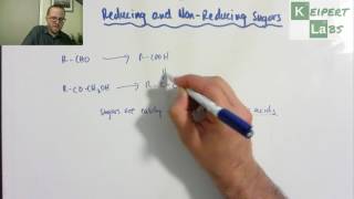 Reducing and NonReducing Sugars [upl. by Alegnaoj883]