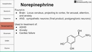 Neurotransmitters of the human body [upl. by Radmen]