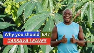 8 BENEFITS of CASSAVA LEAVES  Earths Medicine [upl. by Carlile]