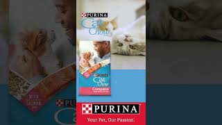 Purina Cat Chow for Cats of All Ages [upl. by Devona]