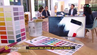 Comment bien choisir sa peinture murale [upl. by Allemahs]