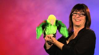 Folkmanis® Amazon Parrot Puppet Demo  Retired [upl. by Ajram]