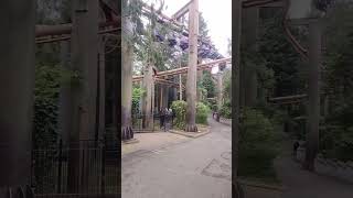 The vampire at Chessington world of adventures edit [upl. by Handler90]