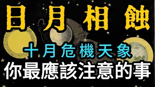 💥風險規避預測：所有12星座的運勢，必看的注意事項占卜！ 這些事情你必須提前知道！ 太陽星座上升星座月亮星座全預測 [upl. by Aeslahc459]