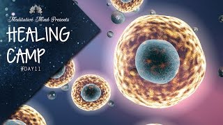 432Hz Cell Repair Music of Healing Tibetan Singing Bowls  Healing Camp 2016  Day 11 [upl. by Suillenroc]