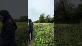 เดินเล่นรอบๆประสาทเก่าแก่ที่ถูกทำลายไปแล้วที่เมือง Midhurst อังกฤษ Walk around the ruined castle [upl. by Bergman]