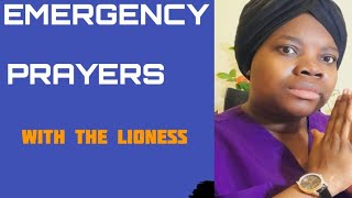 PLEAD MY CAUSE OH LORD EMERGENCY HOUR WITH THE LIONESS [upl. by Fadiman]