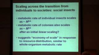 Dr James H Brown  quotToward a Metabolic Theory of Ecologyquot [upl. by Finlay307]