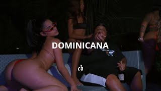 Dembow Type Beat  quotDOMINICANAquot  Chucky73  Brazilera REMIX [upl. by Ettevol]