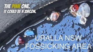 URALLA NSW Woolridge fossicking area Gold Sapphires and gems goldprospecting [upl. by Kore]