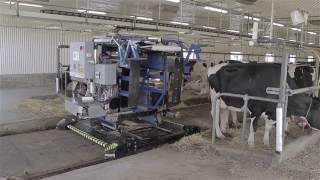 TieStall AMS Milking Robot by Milkomax [upl. by Anneg391]