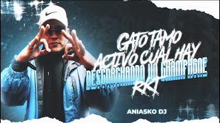 😼 GATO TAMO ACTIVO CUAL HAY DESCORCHANDO UN CHAMPAGNE 🍾 ANIASKO DJ [upl. by Ihcekn]