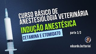 Aula 19  Indução anestésica  parte 33 Curso básico em anestesia veterinária indução [upl. by Assirok715]