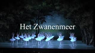 Zwanenmeer Nationale Ballet van Moldavië trailer movie [upl. by Arod]