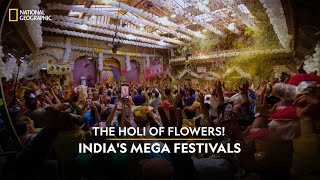 The Holi of Flowers  Indias Mega Festivals  National Geographic [upl. by Casta370]